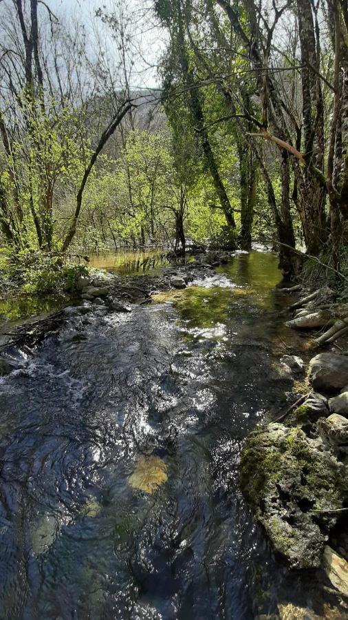 Petite Maison De Village Situee Entre Lacs, Cascades Et Montagnes Virieu-le-Grand المظهر الخارجي الصورة